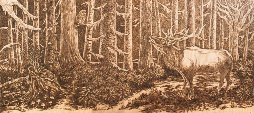Wapiti pyrography